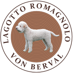 LAGOTTO VON BERVAL